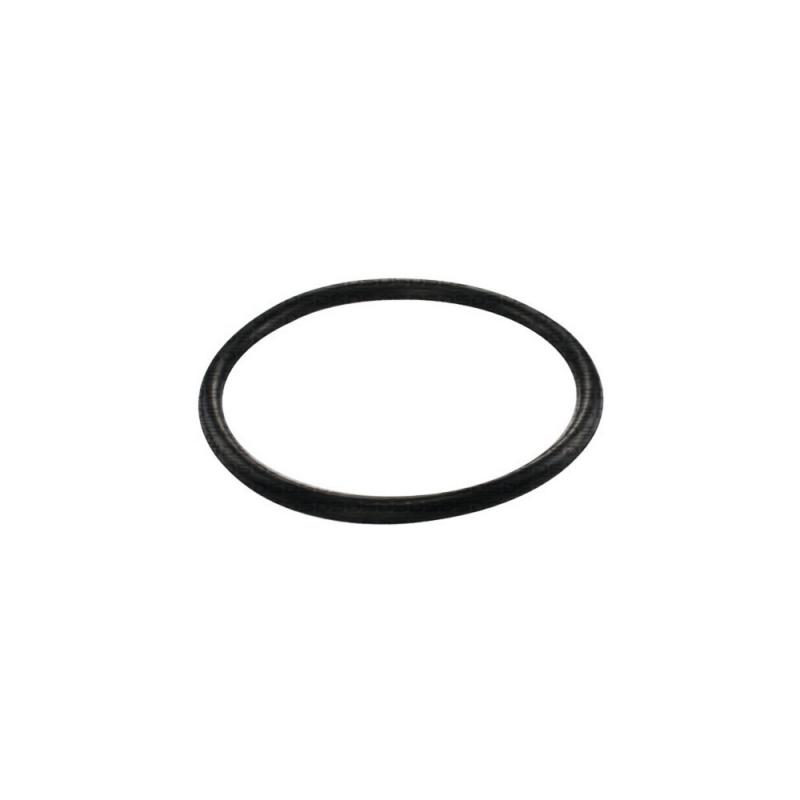 Guarnição da Flange do Módulo de Combustível
