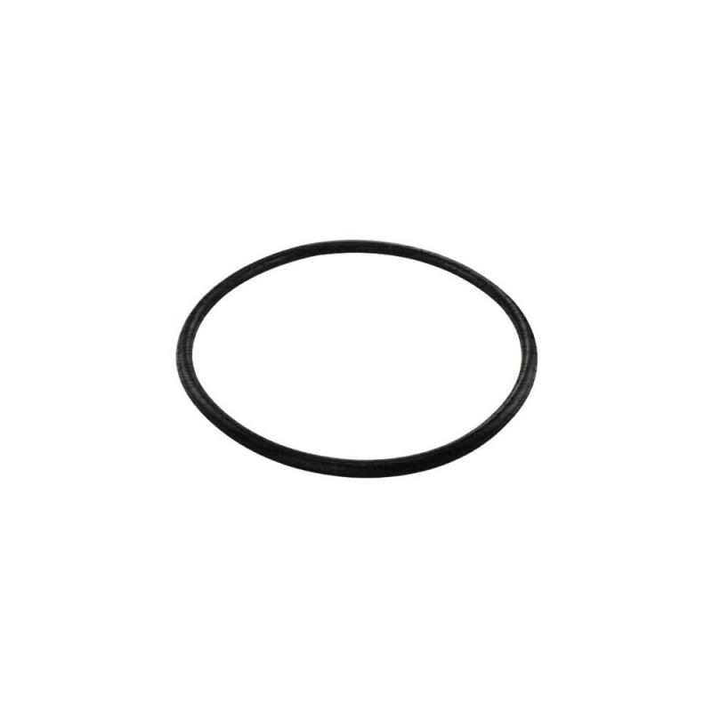Guarnição da Flange do Módulo de Combustível
