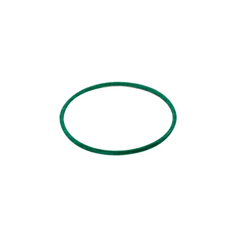Guarnição da Flange do Módulo de Combustível