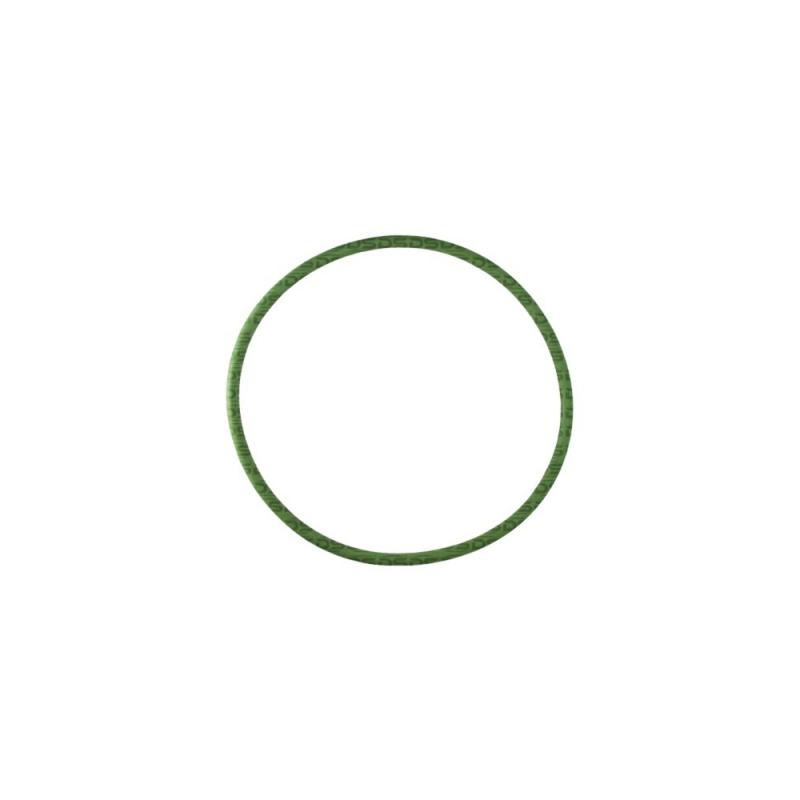 Guarnição da Flange do Módulo de Combustível