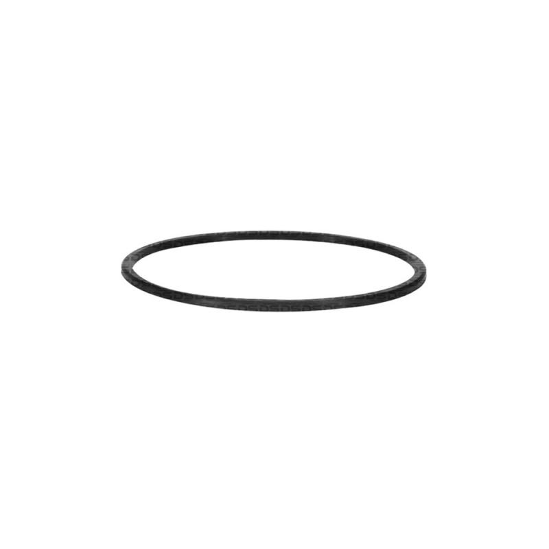 Guarnição da Flange do Módulo de Combustível