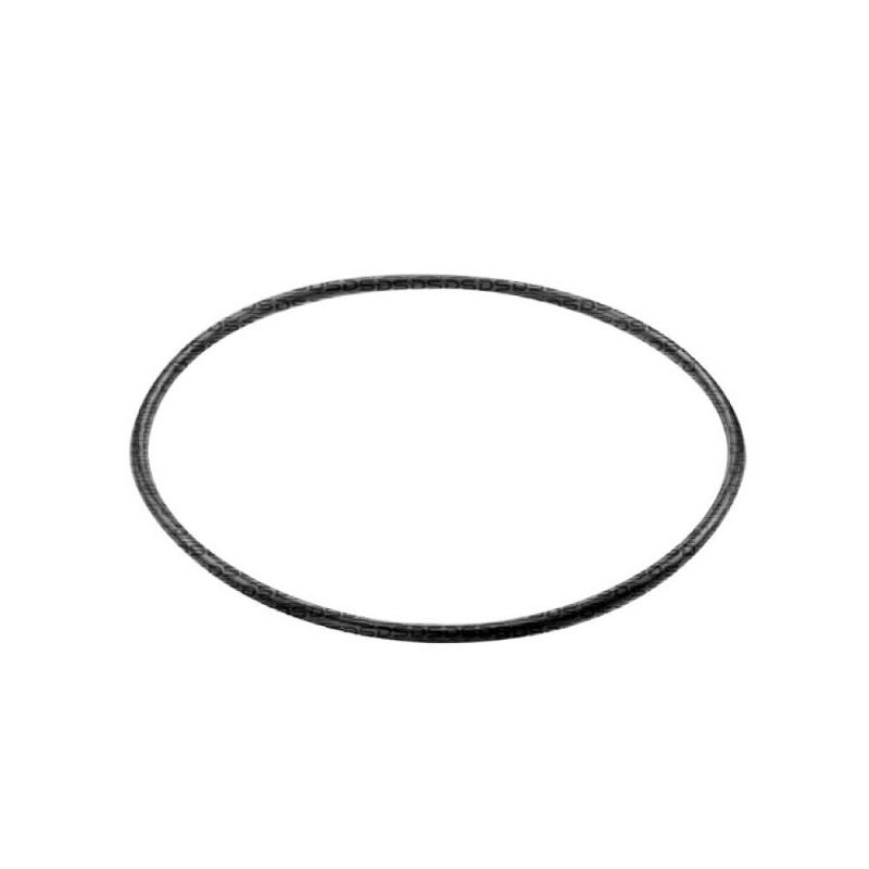Guarnição da Flange do Módulo de Combustível