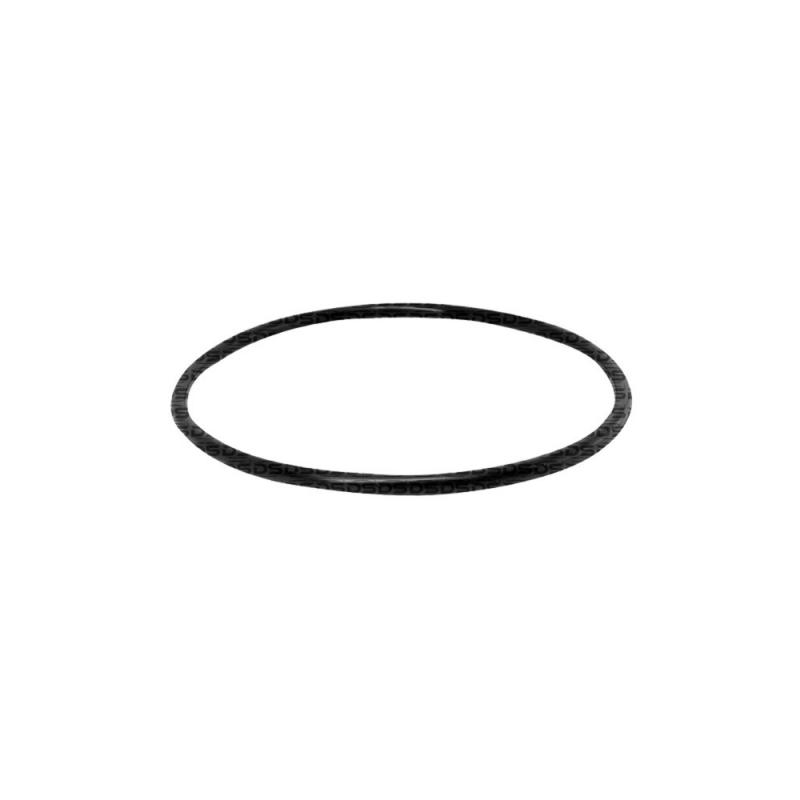 Guarnição da Flange do Módulo de Combustível