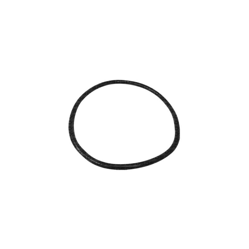 Guarnição da Flange do Módulo de Combustível