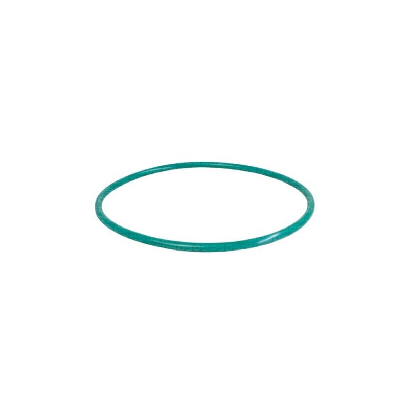 Guarnição da Flange do Módulo de Combustível
