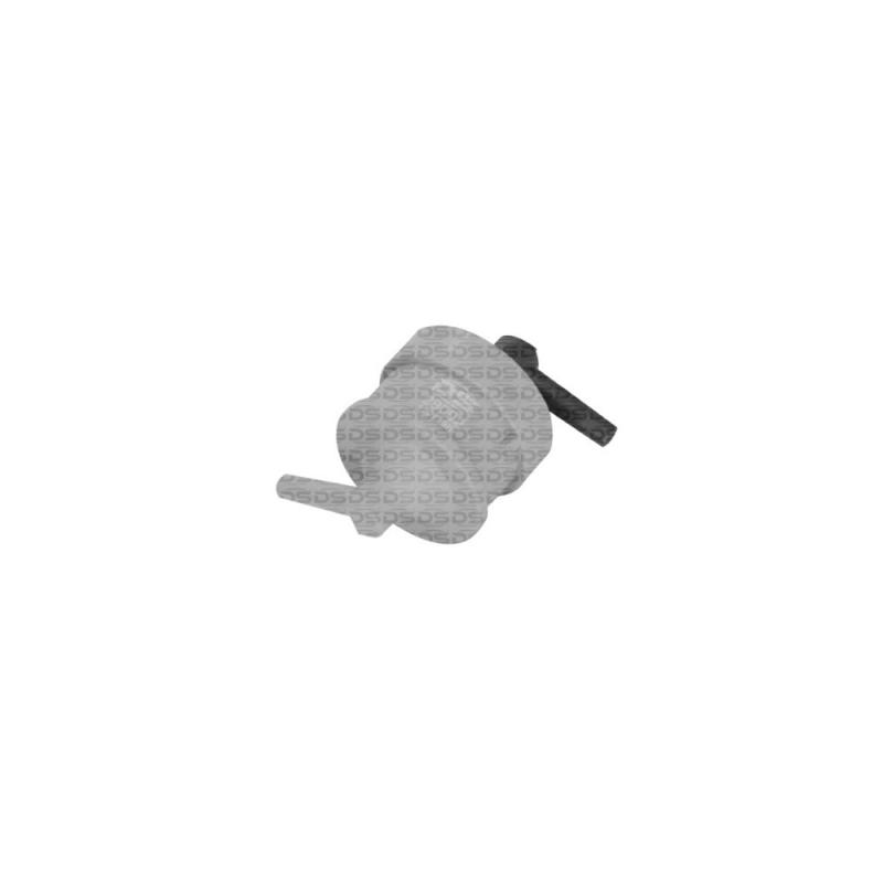 Filtro do Sensor MAP